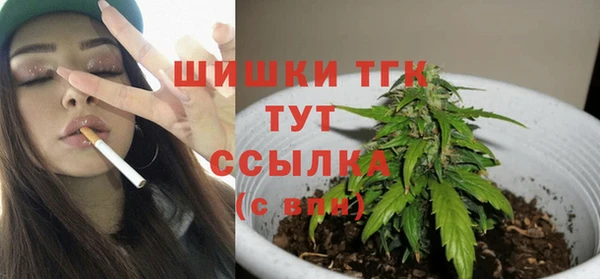 дживик Абаза