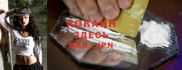 дживик Абаза