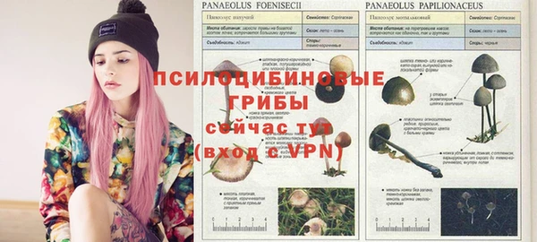 дживик Абаза