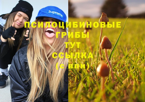 дживик Абаза